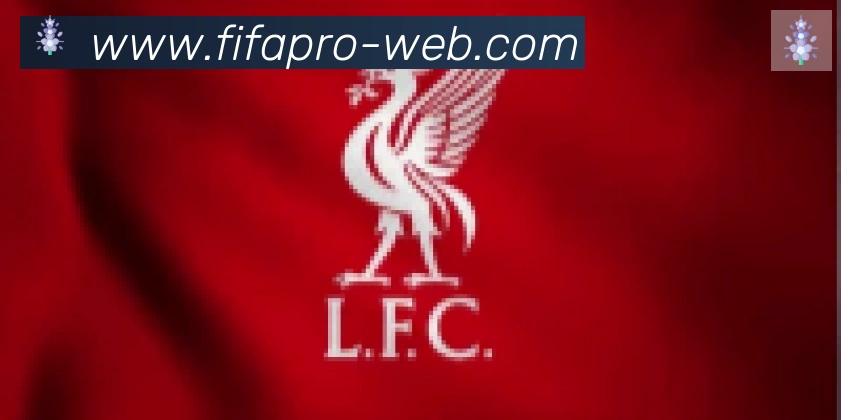FIFA世界杯买球入口合作伙伴