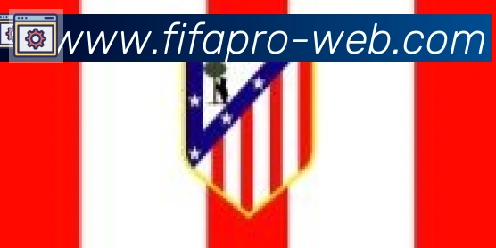 FIFA世界杯买球入口合作伙伴