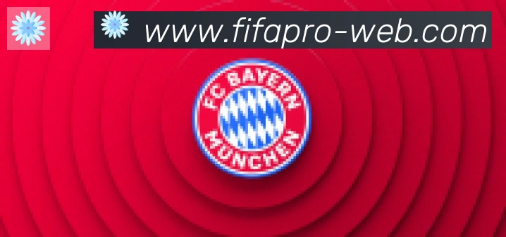 FIFA世界杯买球入口合作伙伴
